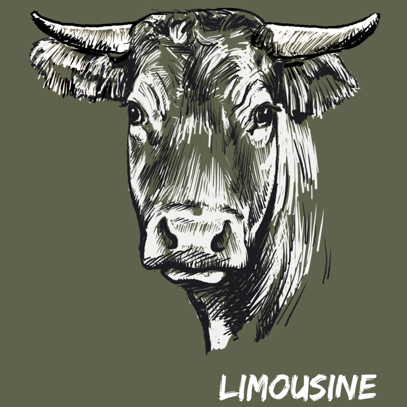 Limousine
