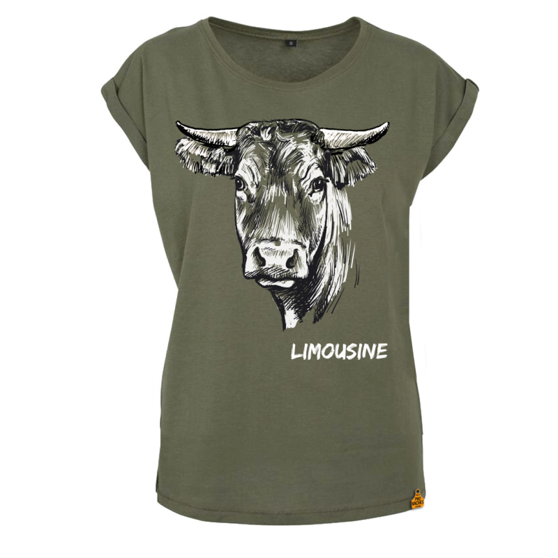 Limousine