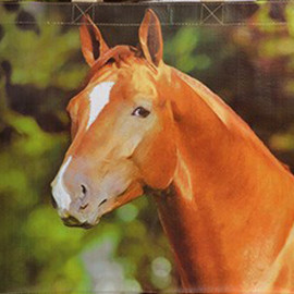 Sac à courses Cheval