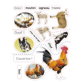 MEUH La ferme