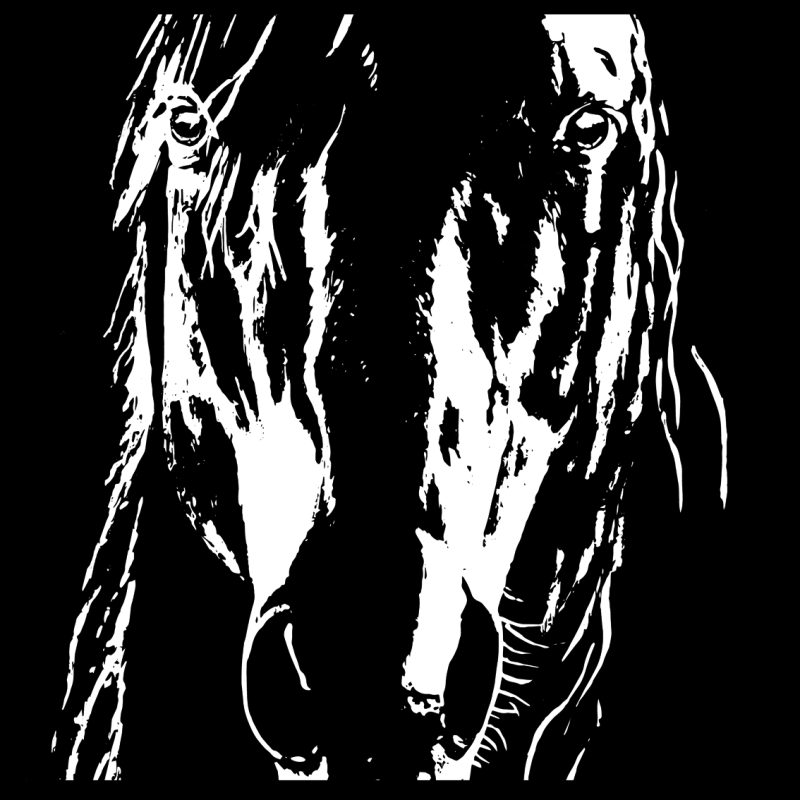 t-shirt cheval