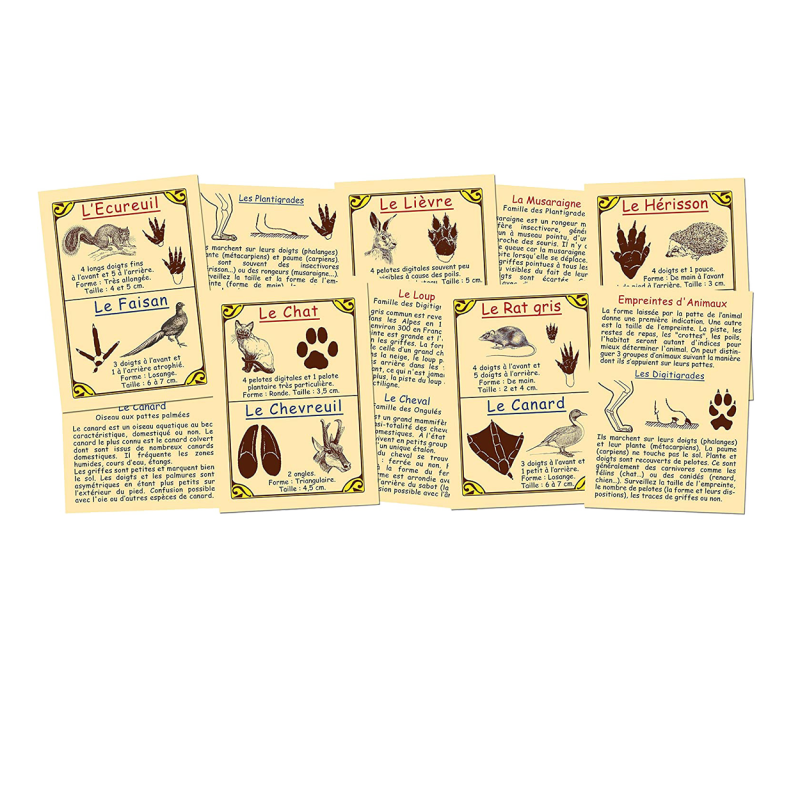 Jeu Empreintes d'animaux