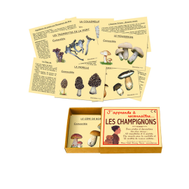 Jeu J'apprends à reconnaître les champignons