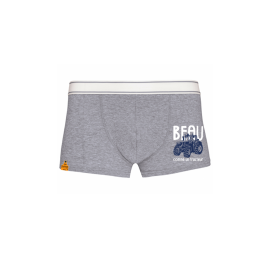 Boxer Beau comme un tracteur