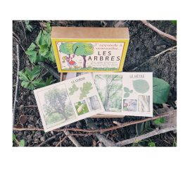Jeu J'apprends à reconnaître les arbres
