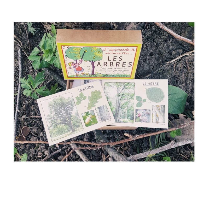 Jeu J'apprends à reconnaître les arbres