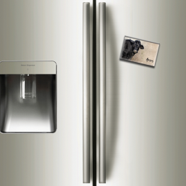 ANGUS - magnet frigo