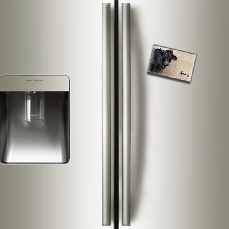 ANGUS - magnet frigo