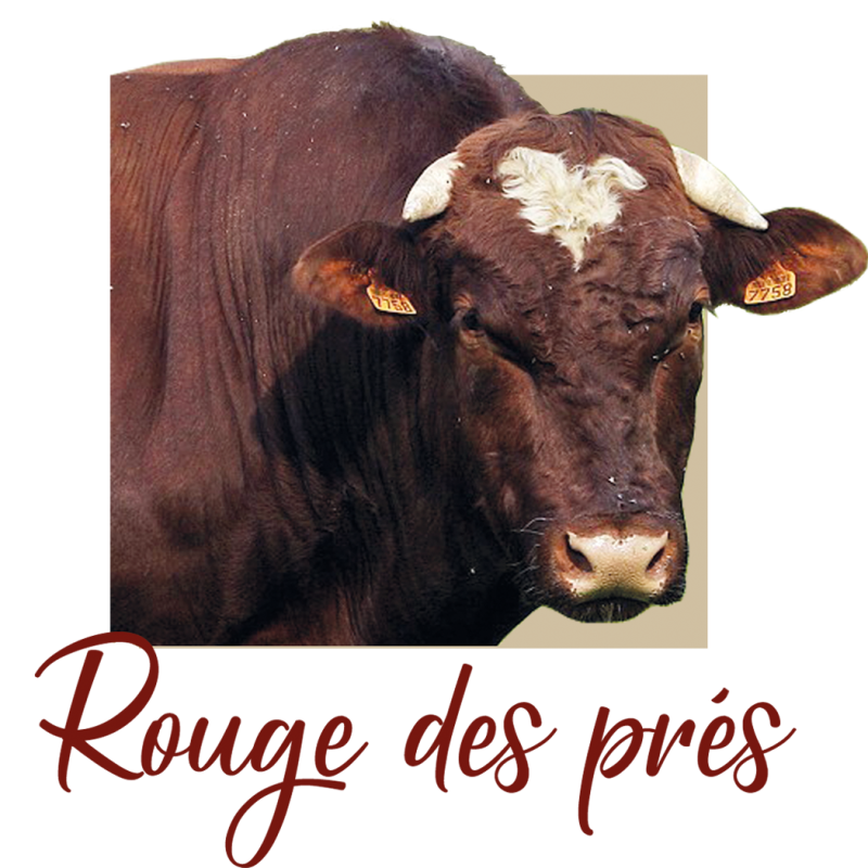 Mug Rouge des prés