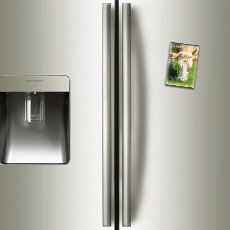 SIMMENTAL - magnet frigo
