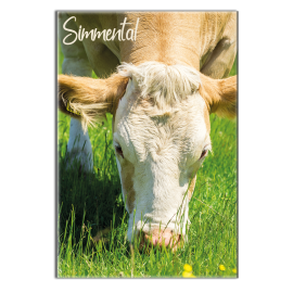 SIMMENTAL - magnet frigo