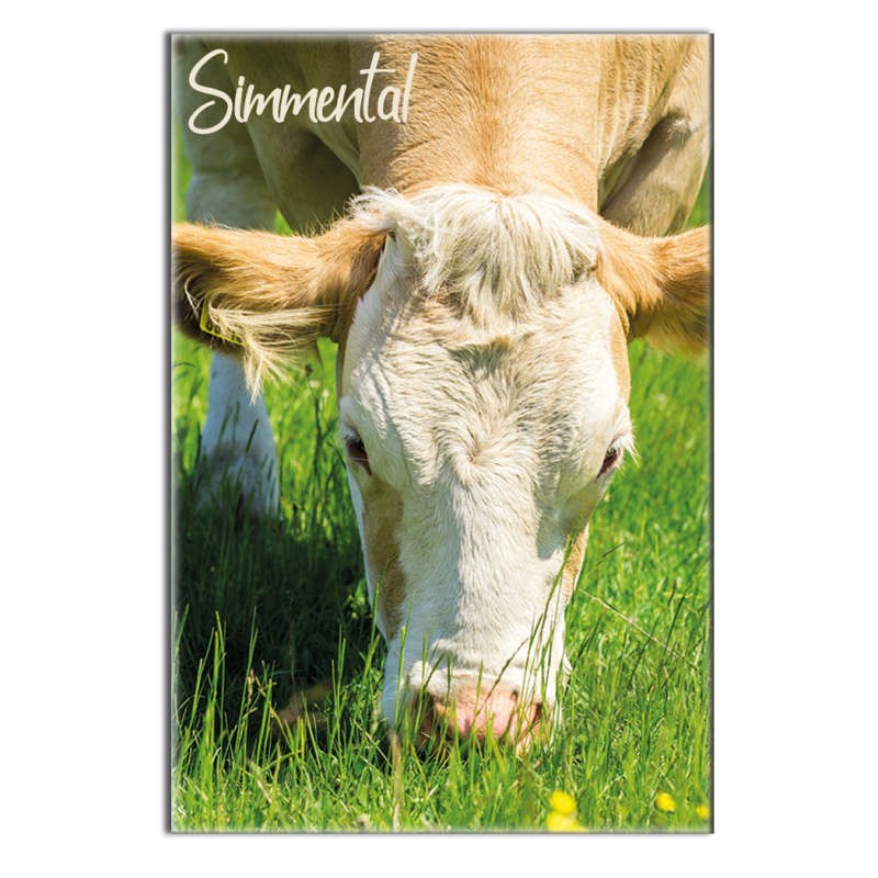 SIMMENTAL - magnet frigo