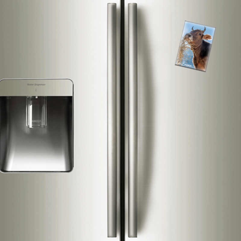 VACHE BRUNE - magnet frigo