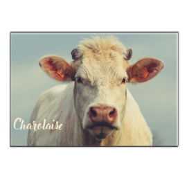 CHAROLAISE - magnet frigo