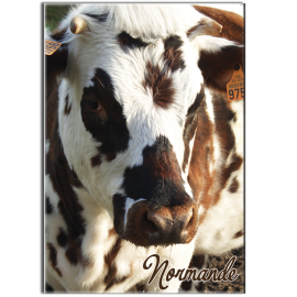 NORMANDE - magnet frigo