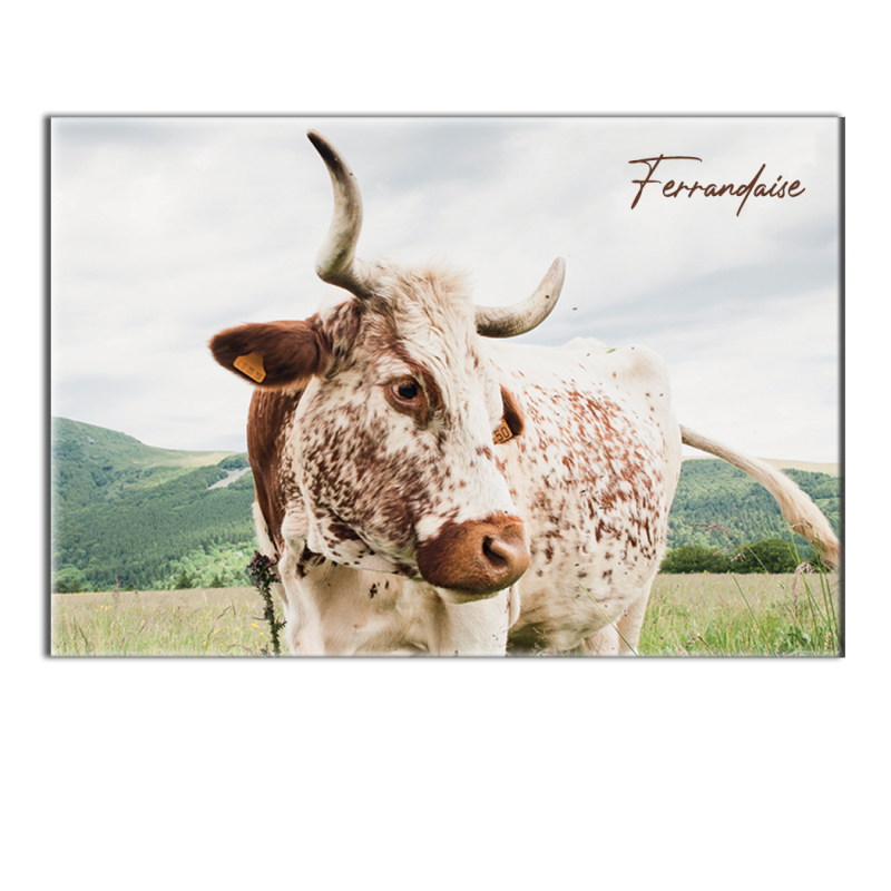 FERRANDAISE - Magnet frigo