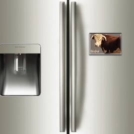 HEREFORD - magnet frigo