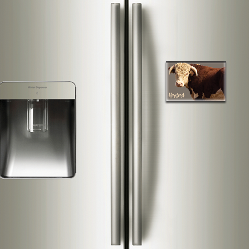 HEREFORD - magnet frigo