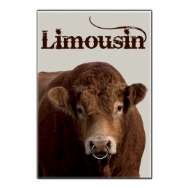 LIMOUSIN - magnet frigo