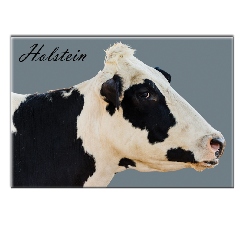 HOLSTEIN - magnet frigo
