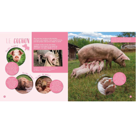 Les Animaux de la ferme