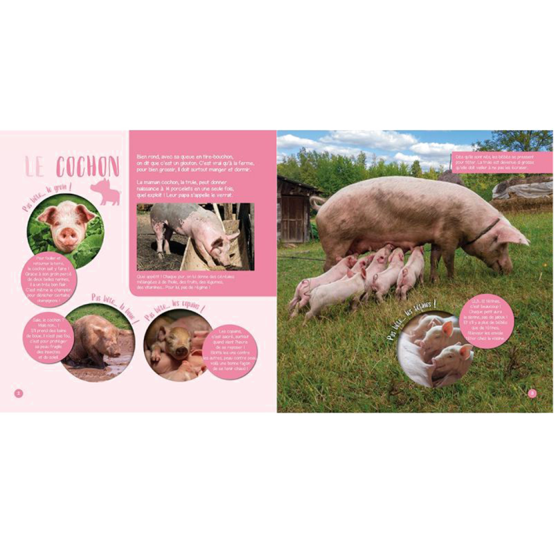 Les Animaux de la ferme