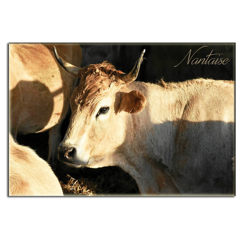 NANTAISE - magnet frigo