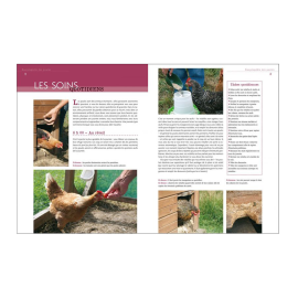 Tout sur l'élevage des poules