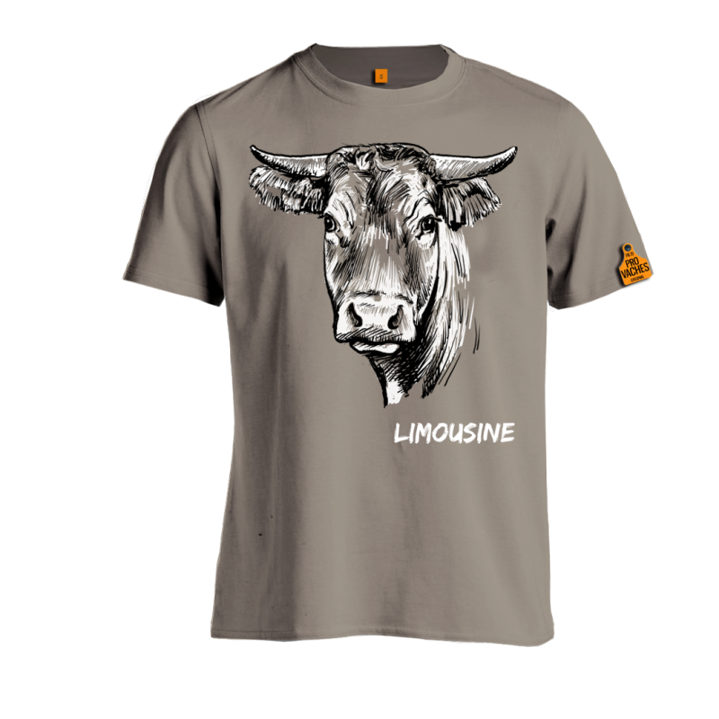 Limousine