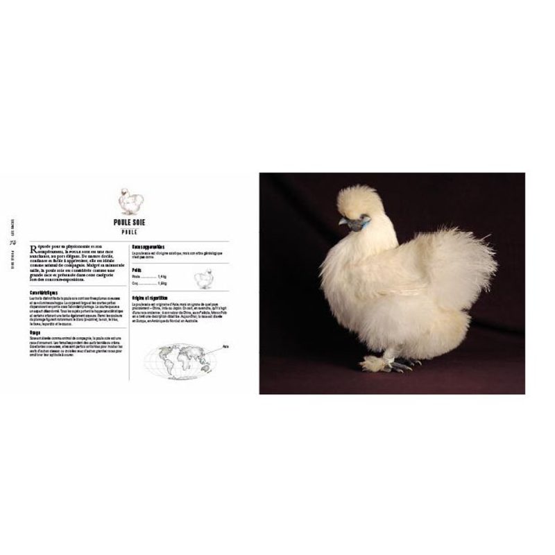 Poules Passionnément