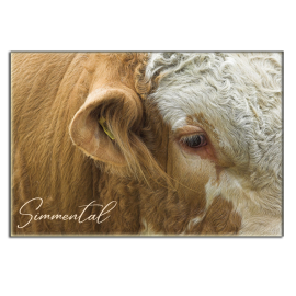 SIMMENTAL - magnet frigo