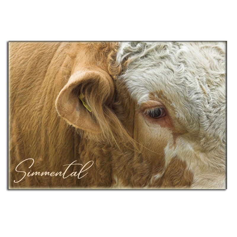SIMMENTAL - magnet frigo
