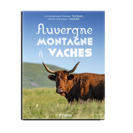 Auvergne Montagne à Vaches
