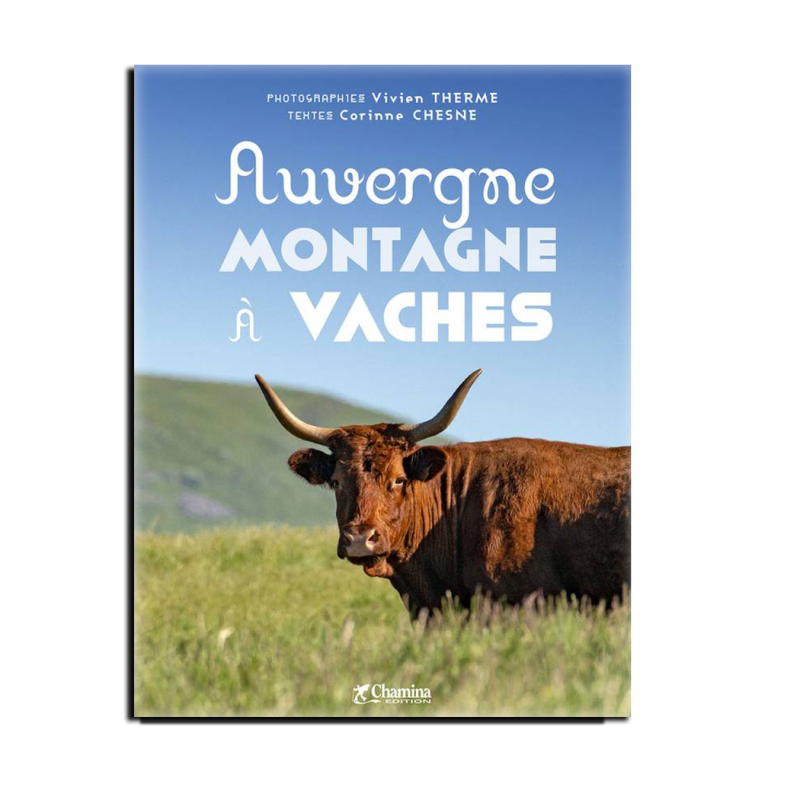 Auvergne Montagne à Vaches