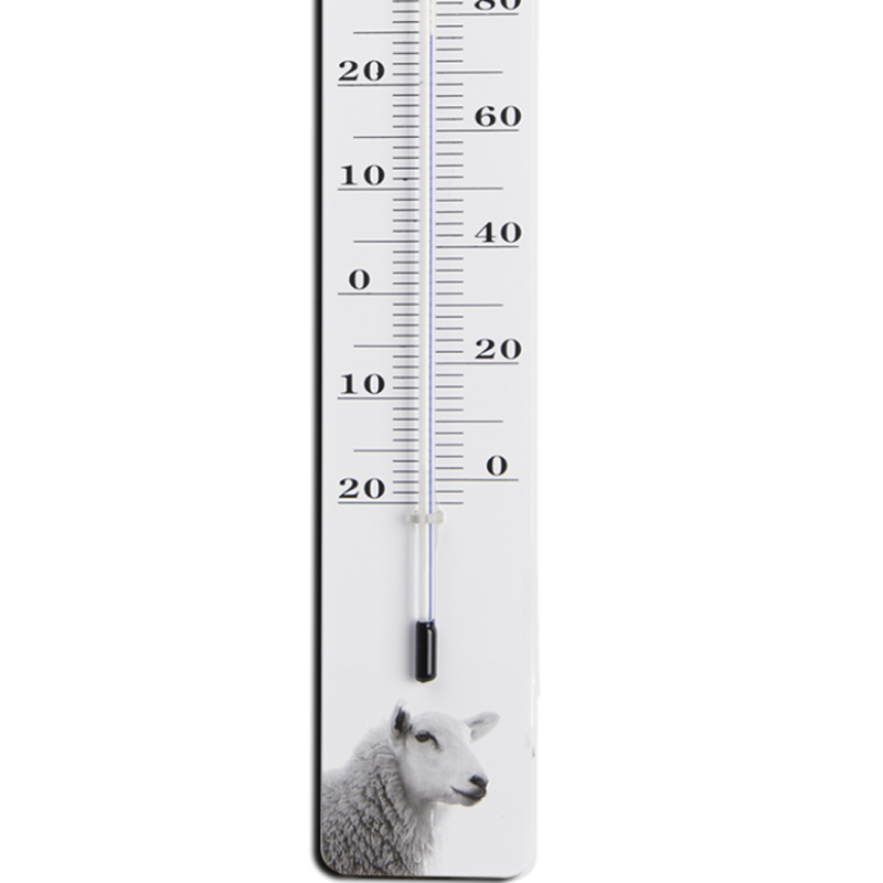 Thermomètre Mouton N&B