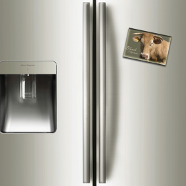 BLONDE D'AQUITAINE - magnet frigo
