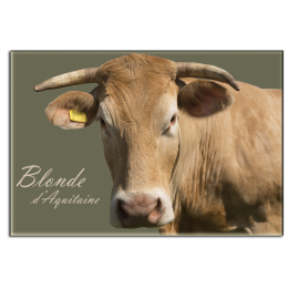 BLONDE D'AQUITAINE - magnet frigo