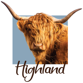 Mug Highland