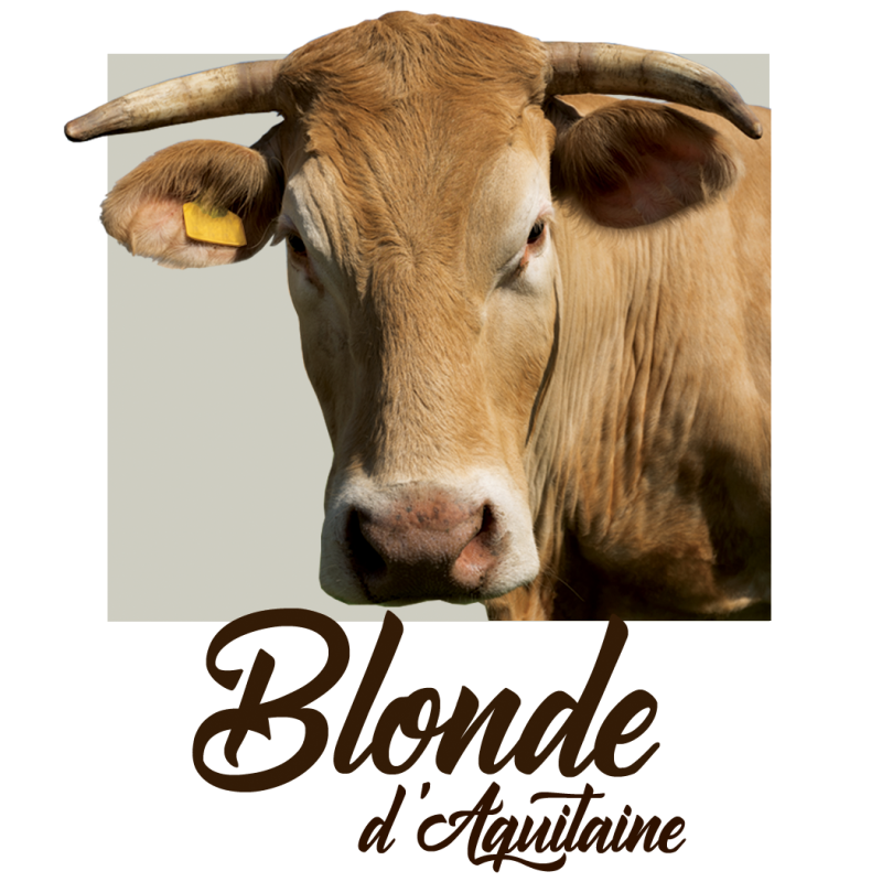 Mug Blonde d'Aquitaine