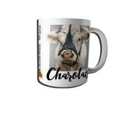 Mug Charolais
