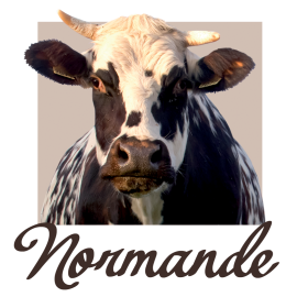Mug Normande