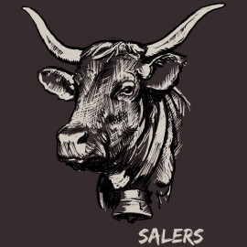 Veste Salers