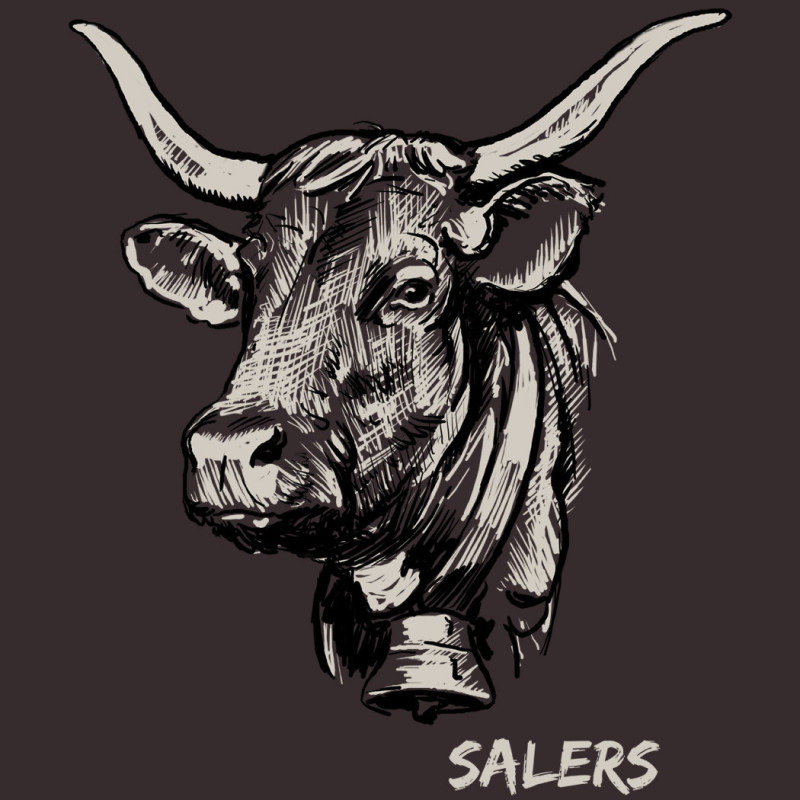 Veste Salers