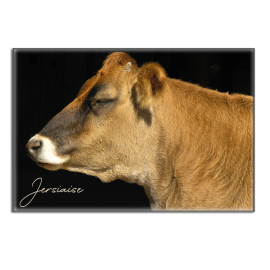 JERSIAISE - magnet frigo
