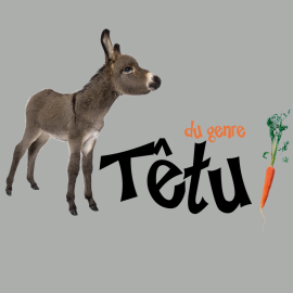 Du genre Têtu !
