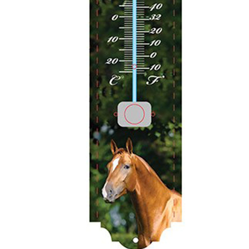 Thermomètre Cheval