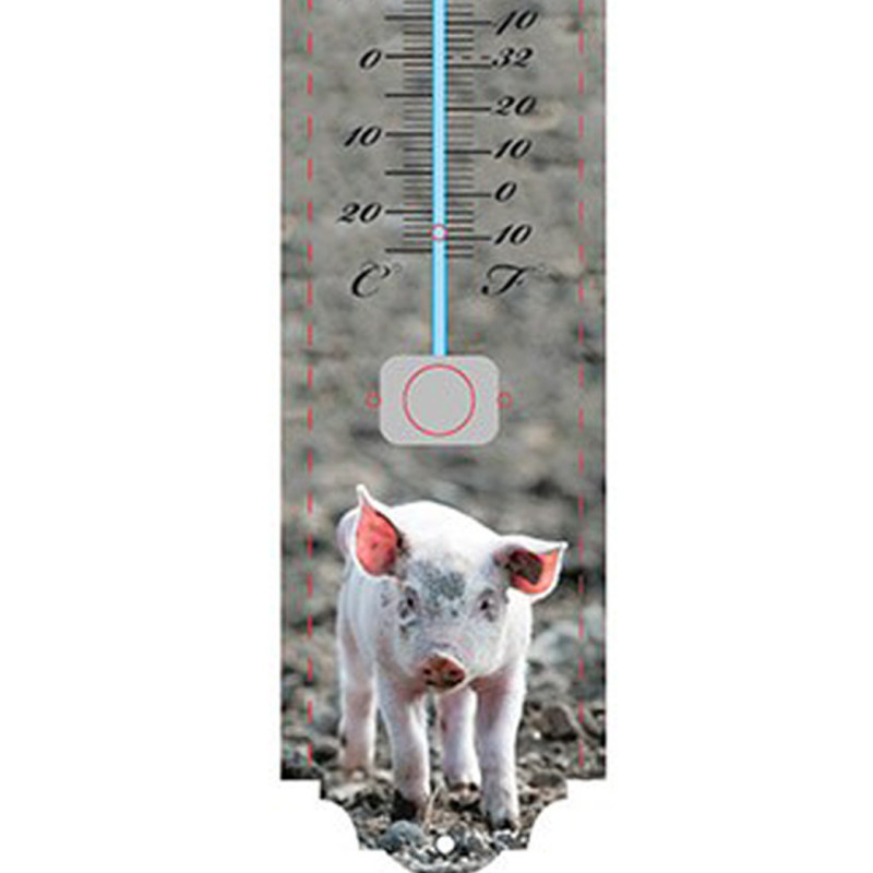 Thermomètre Cochon