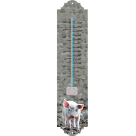 Thermomètre Cochon