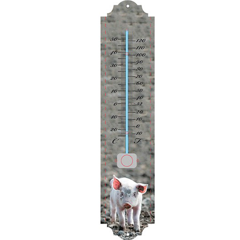 Thermomètre Cochon