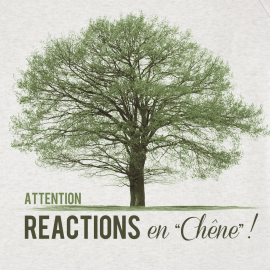 Sweat Réactions en chêne !